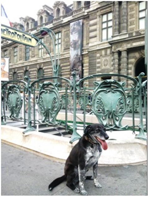 Куче на спирката пред парижкия Лувър