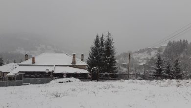20 сантиметра сняг покри високите села в община Родопи