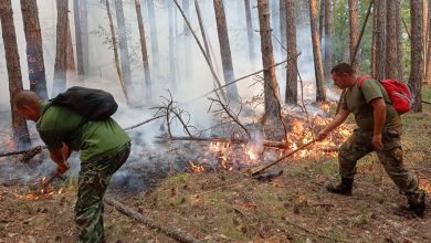 пожара над село Югово