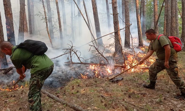 пожара над село Югово