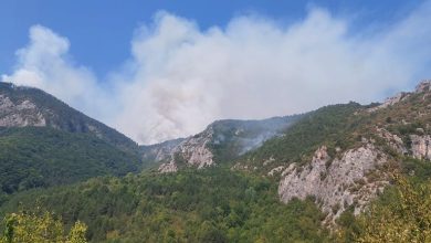 Пожарът над Югово