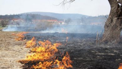 пожар в сухи треви