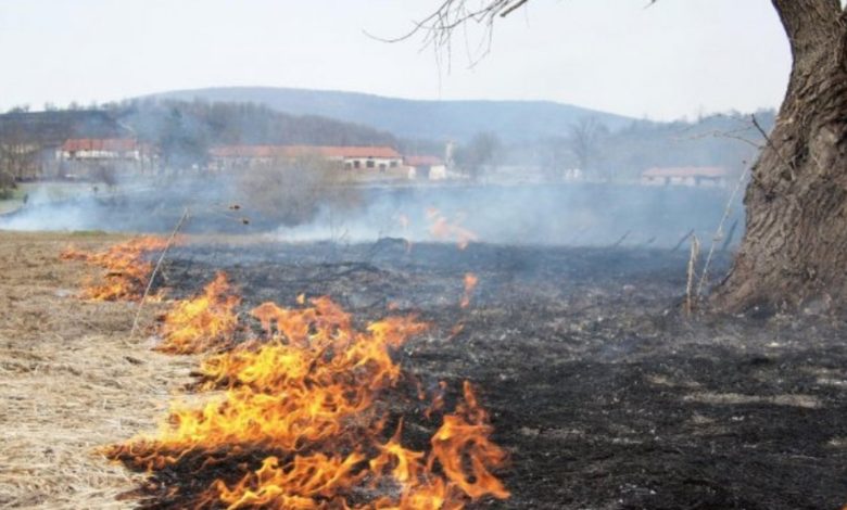 пожар в сухи треви