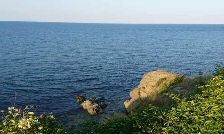 Черно море, Царево