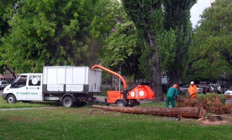 паднали клони