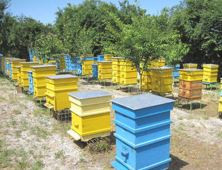 Пчеларската програма за 2022г
