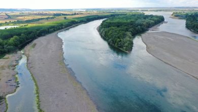 Дунав пресъхва