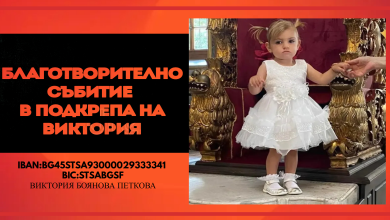 Вики