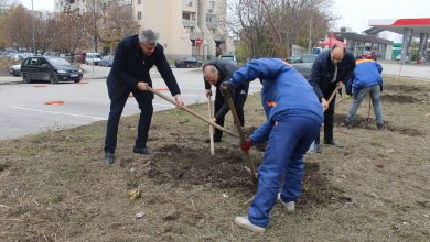 залесяване Северен