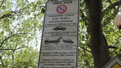 Синя зона