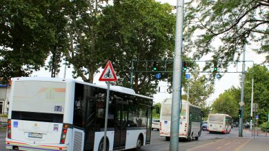 transport