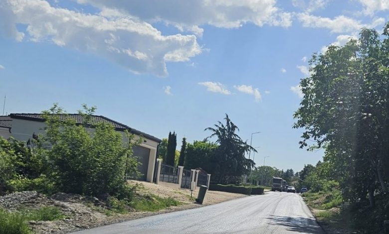 първенец марково