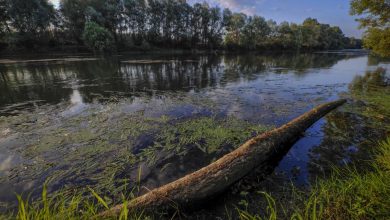 река марица снимка станимир петков