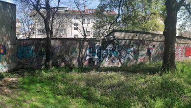 сграфито на Слона в Мараша