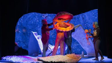 Пук Куклен театър Пловдив