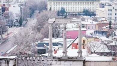 зимен пловдив