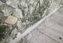 пощенски гълъби Слона Централна поща