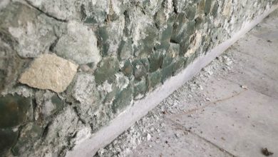 пощенски гълъби Слона Централна поща