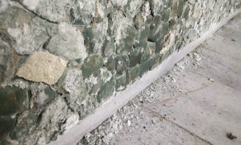 пощенски гълъби Слона Централна поща