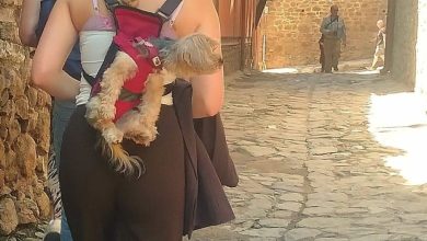 да разходим кучето из стария град